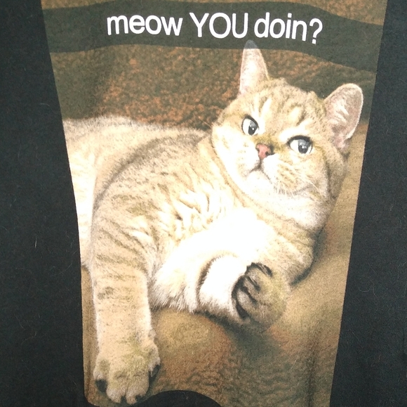 Cute Kitty Black T Shirt Meow You Doin? Fun Tee Cat Lady Top Funny Tshirt Humor - Picture 2 of 5